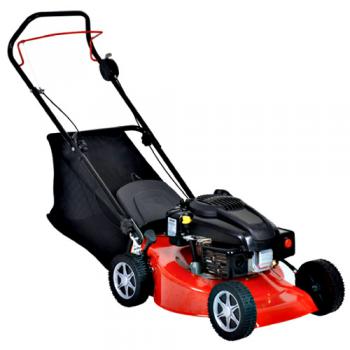 RD 41
